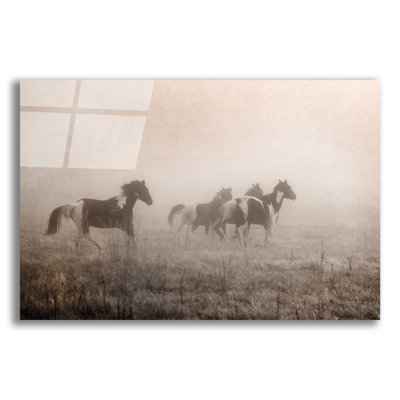 «Painted Horses on the Run» par Debra Van Swearingen - photographie non encadrée