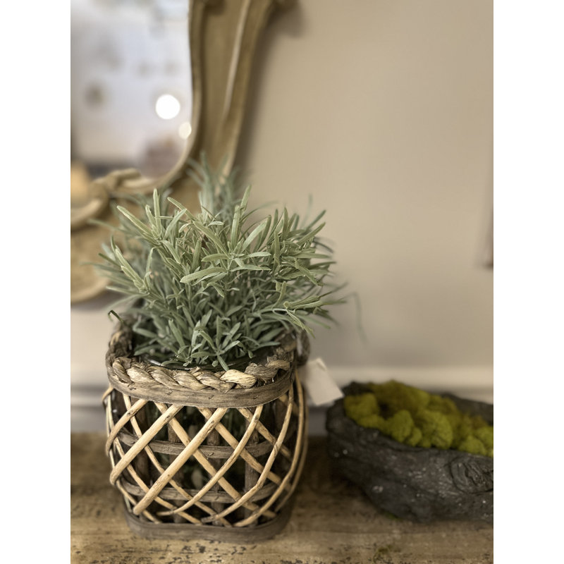 Lanterne Willow