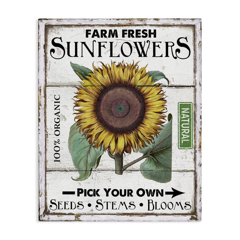 «Rustic Farm Fresh Sunflowers», art mural sur toile par Creatif Belle bp-565_CN, H 20 po x l 16 po