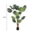 Plant-810409947