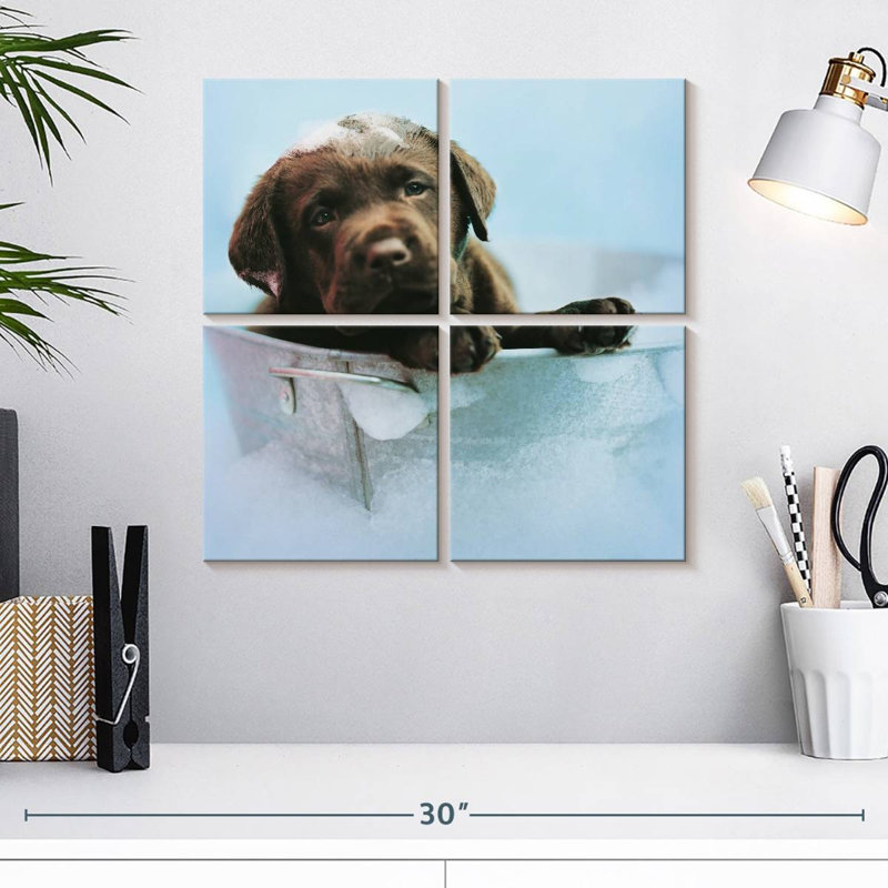 Brampt Beau le chien, H 18 po x l 18 po