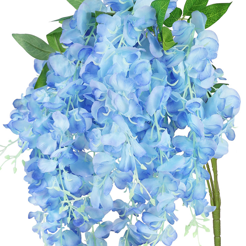 Tige de glycine suspendue, Bleu