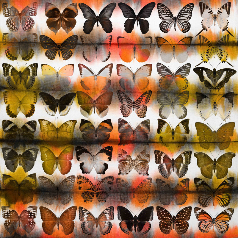 Parvez Taj - Wrapped Canvas Print, 101cm H x 101cm W