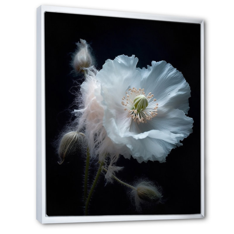 Coquelicots vibrants noirs et blancs sur toile, Cadre flottant blanc, H 20 po x l 12 po x P 1 po