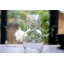 2 - Piece Crystal Carafe Set