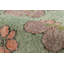 Pasha Handmade Wool Area Rug
