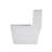 Ceramic One Piece Toilet, 12-Inch Rough-In, Dual Flush With Soft Closing Seat