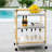 Ellie Bar Cart with Metal Outer Material-986371663