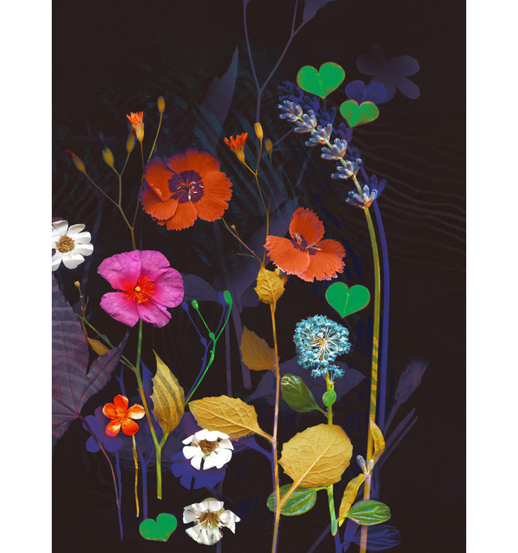 Wildflower Collection 3 Print by Katie Todaro, Gold Frame Paper