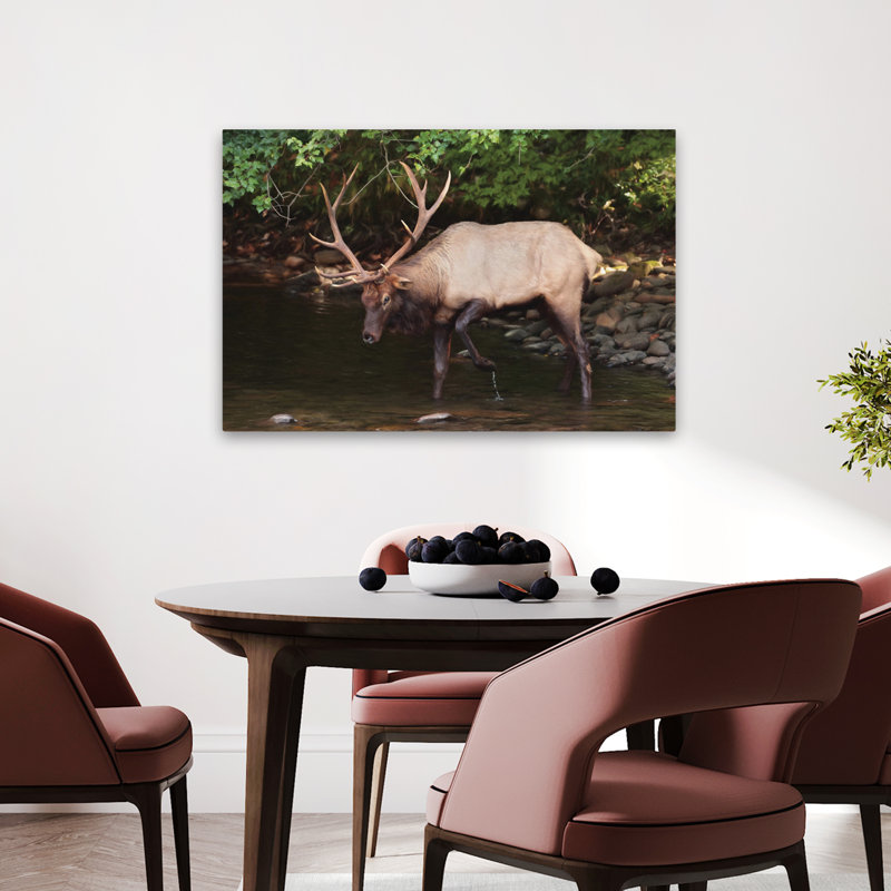 Cherokee Elk II - photographie contemporaine, élan Cherokee, H 24 po x l 36 po