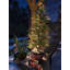 Sapin de Noël artificiel Norfolk Pine de 1,5 m, préilluminé avec 130 DEL et 8 modes d'éclairage, en polyéthylène doux au toucher, sans danger pour les familles et les animaux, avec pot noir stable pour la décoration intérieure et extérieure.-1121506025