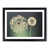 Black Framed selected