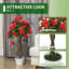 Rose Arrangement in Pot-1630538454
