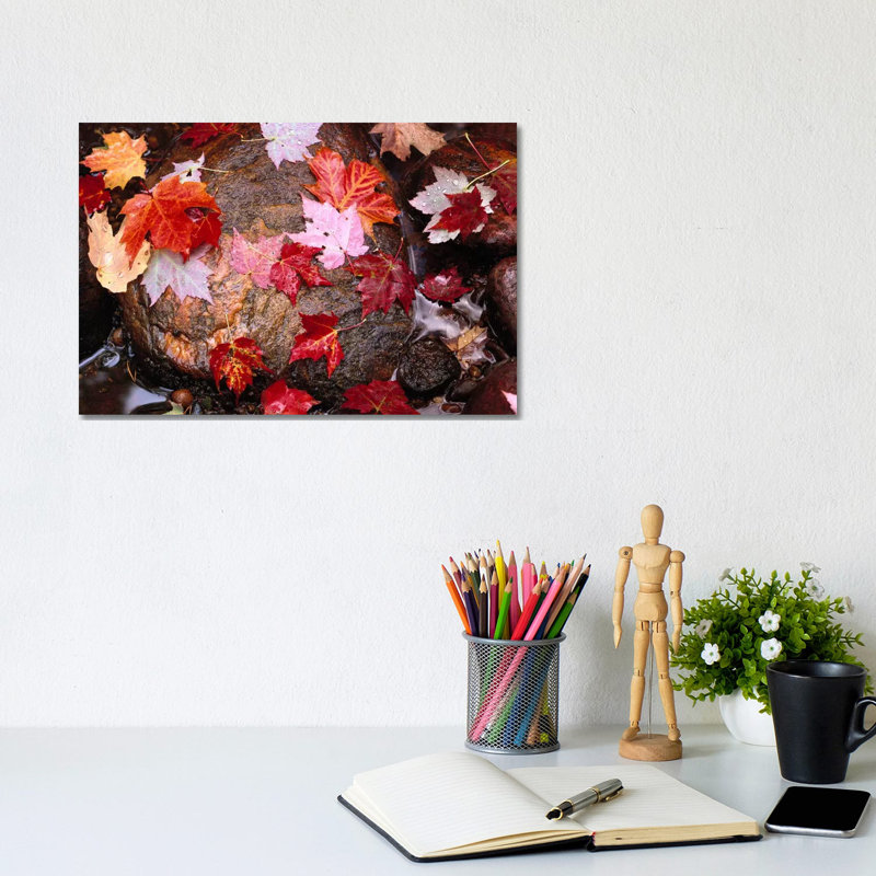 Maple Leaves In Sable Creek, Pictured Rocks National Lakeshore, Michigan by Tim Fitzharris - Wrapped Canvas Print