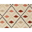Southwestern Area Rug in Beige