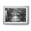 Oak Alley Reflection - photographie de cadre-862675878-862675880