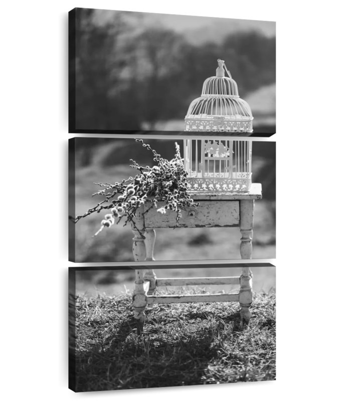 Cage à oiseaux rétro monochrome