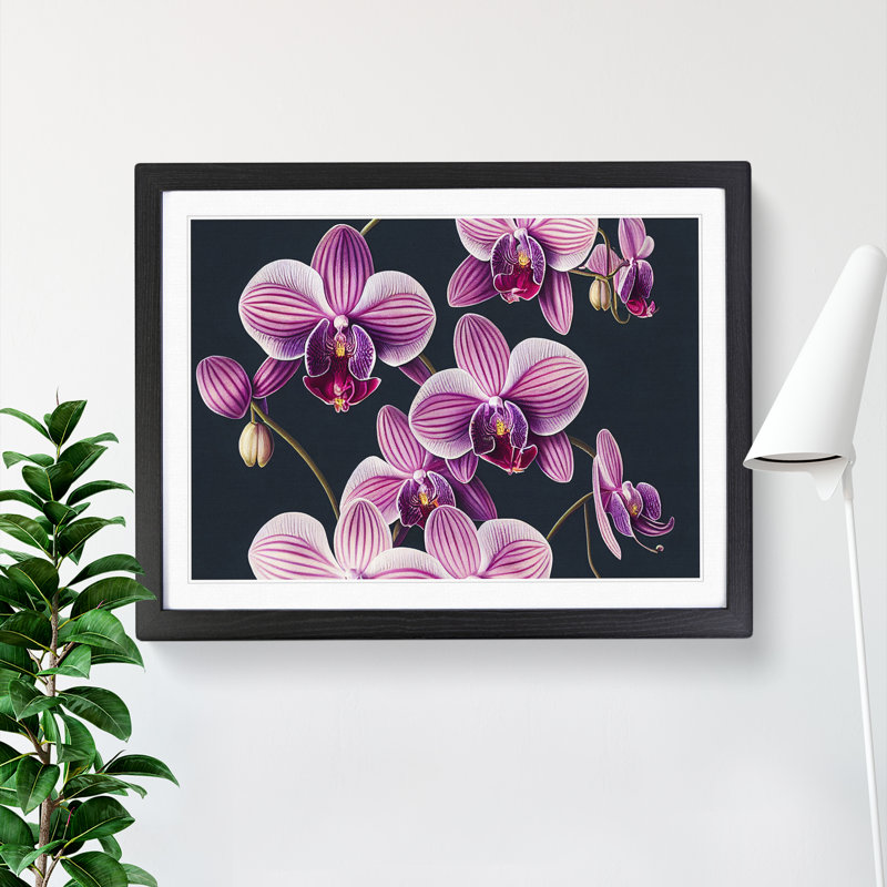 Sparkling Orchid Flowers - Framed Print, Black, 46cm H x 64cm W x 2cm D