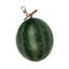 Melon d'eau artificiel avec vigne