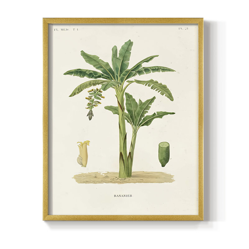 Arbre antique avec fruit III, reproduction encadrée - bois massif, H 11 po x l 9 po, Doré