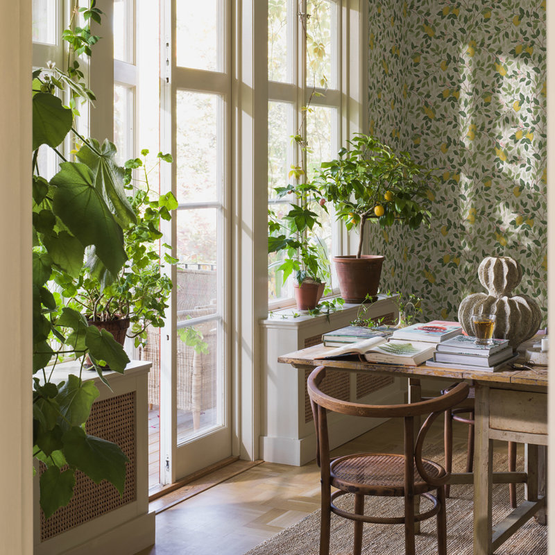 Boråstapeter Citronträd Wallpaper, Spruce/Blue