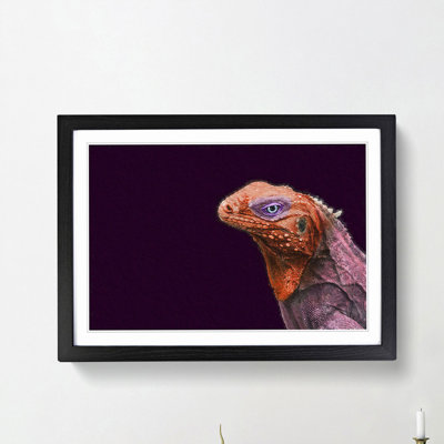 Red & Purple Iguana Lizard - Picture Frame Photograph Print