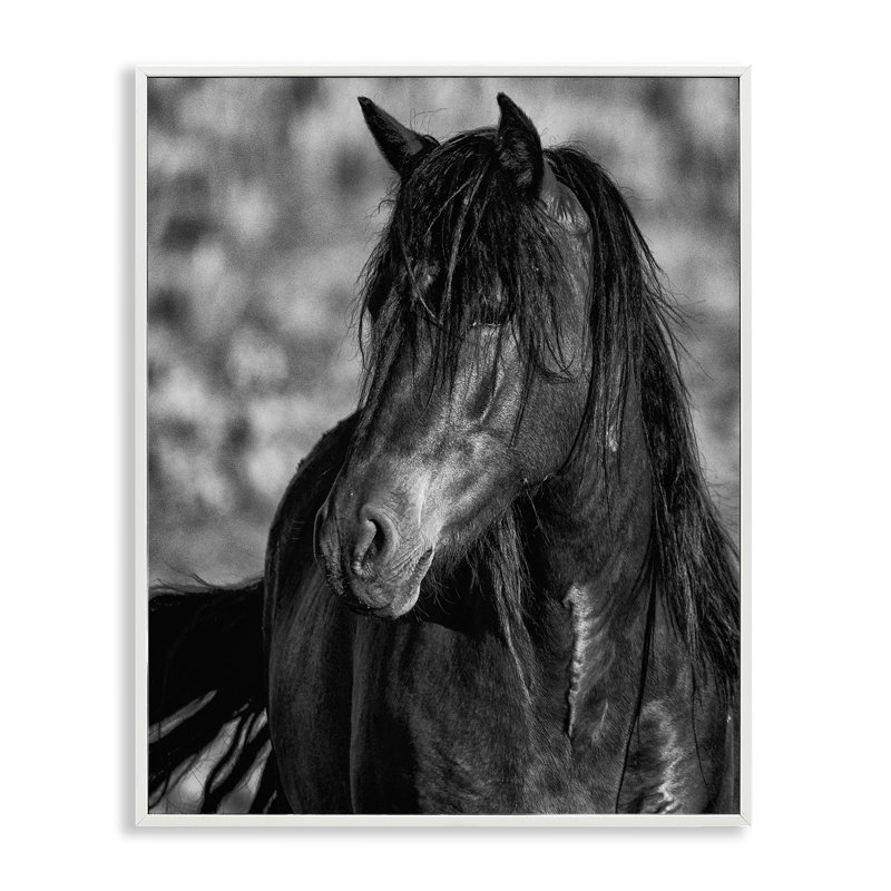 Beauté en noir, estampe numérique, design par Tim West, Encadrement giclée blanc côtier, H 14 po x l 11 po