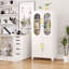 Armoire de rangement verrouillable polyvalente en fer-2032160621