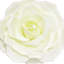 Grande tige rose en mousse-132110116-132110118