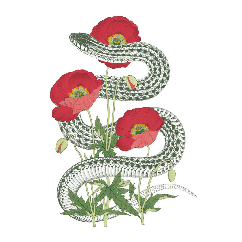 «Natural Beauty II» par Wild Apple Portfolio - impression sur toile tendue, H 36 po x l 24 po, Toile tendue, Non