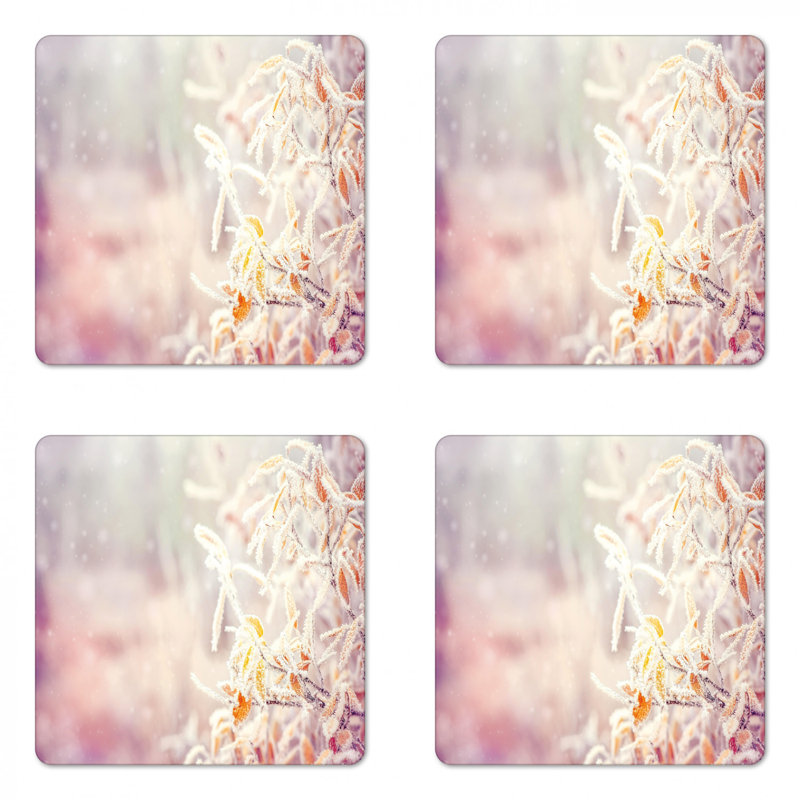 Square 4 Piece Coaster Set