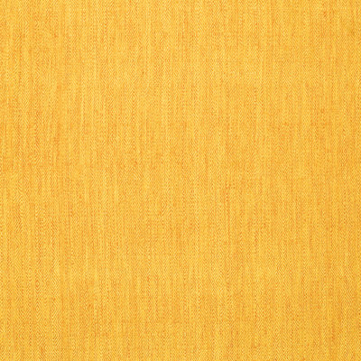 Iakup Performance Indoor Rug