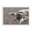 «Rainy Pasture I BW» par Nathan Larson, reproduction d'art-1009780526-1009780520-1009780524