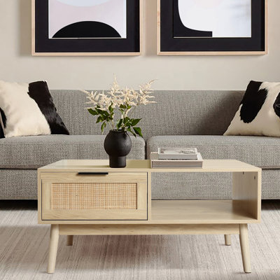 Table basse en rotin organique moderne avec rangement