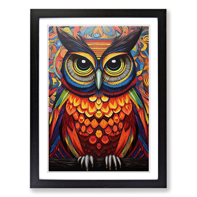Owl Op Framed Print, Black Framed, 64cm H x 46cm W x 2" D