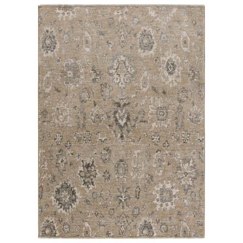 Tapis oriental rétro Performance Overdye 502, Rectangle 8 pi x 10 pi