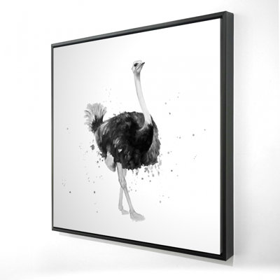 «Proud Ostrich»
