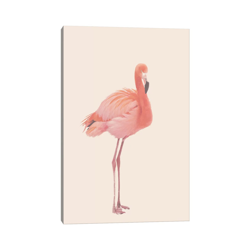 Flamingo in Snow Rose 1 Piece Wrapped Canvas Wall Art, 20.32 cm H x 30.48 cm W