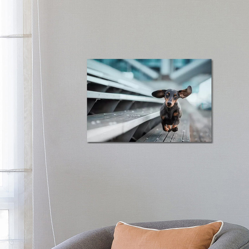 A Little Dog Runs Through The World by Heike Willers - Wrapped Canvas Gallery-Wrapped Canvas Giclée