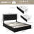 Athanasius Modern LED Platform Bed, PU Upholstered Bed with Storage Drawers, RGB Lighting & Music Sync, Adjustable Headboard, No Box Spring Needed, Easy Assembly-1356800846-1348519639