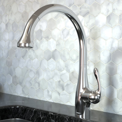 Allegro E Pull Out Single Handle Kitchen Faucet
