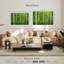 Bambou Alvord Jungle-111960997
