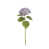 Purple selected