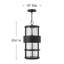 Saturn 1-Light Outdoor Hanging Lantern