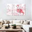 Flamant rose Brampt-107996949