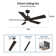 52'' Ceiling Fan with LED Lights