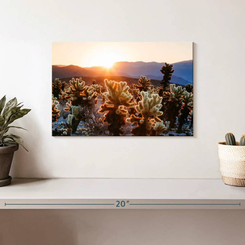 Jardin de cactus Harnek, H 8 po x l 12 po