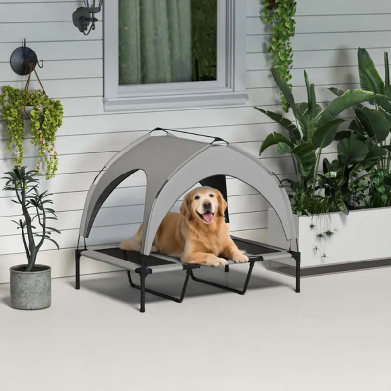 Lit pour chien surélevé 42 po x 30 po x 37 po avec auvent