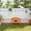 Rabbit Hutch with Wire Mesh