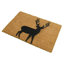 Aurelius Non-Slip Outdoor Doormat